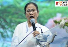 বেশি বেশি করে আলু খেতে পরামর্শ দিলেন,মুখ্যমন্ত্রী