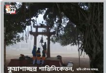 বৃহস্পতিতে ফের বৃষ্টি?কুয়াশাচ্ছন্ন দক্ষিণবঙ্গ