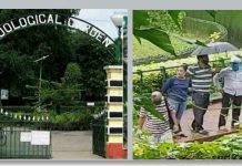 চিড়িয়াখানায় বিলবোর্ড লাগাতে গিয়ে বিদ্যুৎস্পৃষ্ট হয়ে মৃত দুই