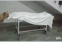 রাস্তার কুকুর হাসপাতালে রাখা দেহ খুবলে খাওয়ার চেষ্টা দেখুন সেই ভিডিও,যোগী-রাজ্যের এই দৃশ্য দেখে শিউড়ে উঠেছেন সবাই