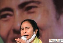 রাজ্যে নতুন ৩টি সরকারি ছুটি, ১৫ নভেম্বর, ১৩ ফেব্রুয়ারি ও মধুকৃষ্ণ ত্রয়োদশী, জানালেন মুখ্যমন্ত্রী মমতা বন্দ্যোপাধ্যায়