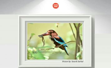 PHOTO FIGHT ফোটো ফাইট: