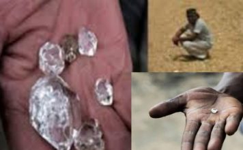 এক কৃষক ৬টি হিরের টুকরো পেলেন লিজ নেওয়া সরকারি জমি থেকে