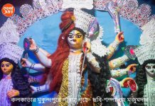 Durga puja 2022: অন্যপুজো: অর্ধনারীশ্বর দুর্গা ও রূপান্তরকামীদের দুর্গা পুজো