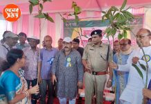 Tree planting বনগাঁ মহকুমা টিম্বার মার্চেন্ট এ্যাসোসিয়েশনের বৃক্ষ রোপণ কর্মসূচি: দেখুন ভিডিও