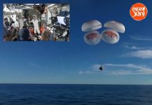 Sunita Williams return মহাজাগতিক মায়া কাটিয়ে পৃথিবীতে সুনীতা