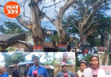 Jessore Roadমাথায় ঝুলছে মরা ডাল ,তার উপরে ঝড়ের আতঙ্ক নিয়ে যশোর রোডে ঝুঁকির যাত্রা বনগাঁয় : দেখুন ভিডিও