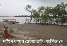 Travelogueপুজোর ছুটিতে দক্ষিণরায়ের ডেরায় : দেখুন ভিডিও