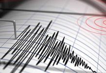Earthquake in Afghanistan মধ্যরাতে আফগানিস্তানে ভয়াবহ ভূমিকম্প,মৃত শতাধিক! , কেঁপে ওঠে দিল্লি, কাশ্মীর, পাকিস্তানের একাংশ