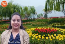 Travelogue পুজোয় ঘুরতে যাওয়ার আগে ট্র্যাভেল এজেন্সির খুঁটিনাটি জানুন