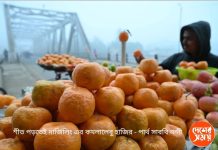 ঘন কুয়াশার দাপট! ‘নিখোঁজ’ হবে না তো শীত? কী জানাচ্ছে আবহাওয়া দপ্তর