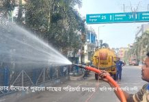 এবার দুয়ারে গাছের চারা! পুরনো গাছ চিহ্নিত করে তার পরিচর্যা শুরু বনগাঁ পুরসভার উদ্যোগে