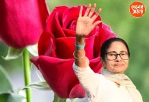 রবীন্দ্রনাথ ঠাকুরের কবিতায় ভালবাসার অর্থ খুঁজলেন মমতা , প্রেমদিবস উপলক্ষ্যে বিশেষ পোস্ট মুখ্যমন্ত্রীর