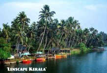 ‘Lenscape Kerala’কলকাতায় কেরালার প্রাকৃতিক সৌন্দর্য তুলে ধরতে অভিনব চিত্র প্রদর্শনী ভিক্টোরিয়ায় : দেখুন ভিডিও