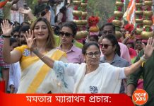 WB Assembly Election 2026: মমতার ম্যারাথন প্রচার: রইল তথ্য ও চিত্র