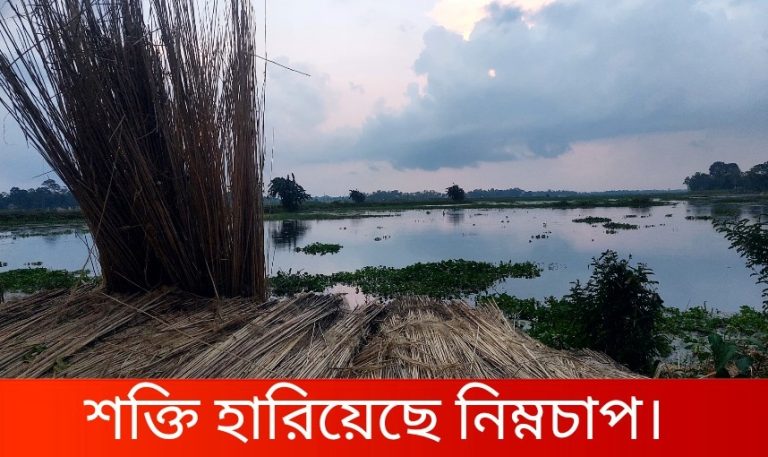দুপুরের পরই কলকাতায় বৃষ্টির পূর্বাভাস, দক্ষিণবঙ্গের জেলায় জেলায় আজ দুর্ভোগ, আবহাওয়ার লেটেস্ট আপডেটে আর কী কী?