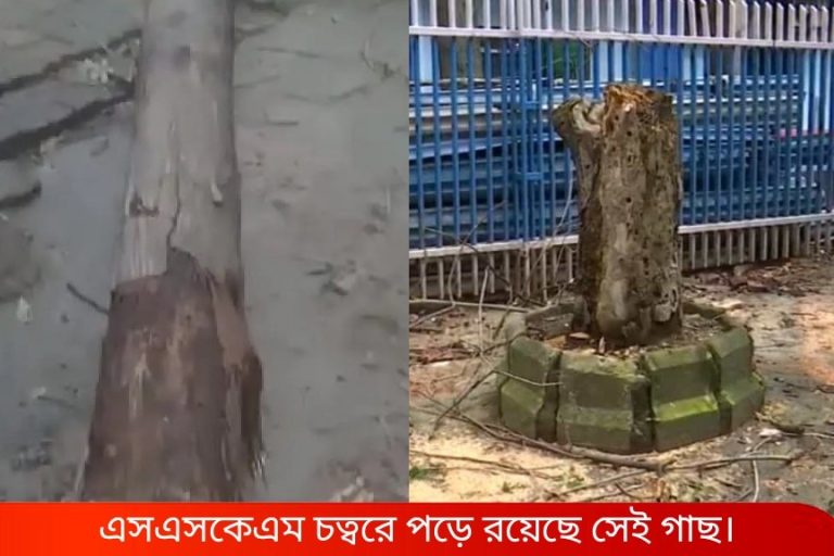 গাছ ভেঙে পড়ে মৃত্যু মহিলার, আহত শিশু-সহ ২ , SSKM-এর সামনে ভয়ঙ্কর দুর্ঘটনা
