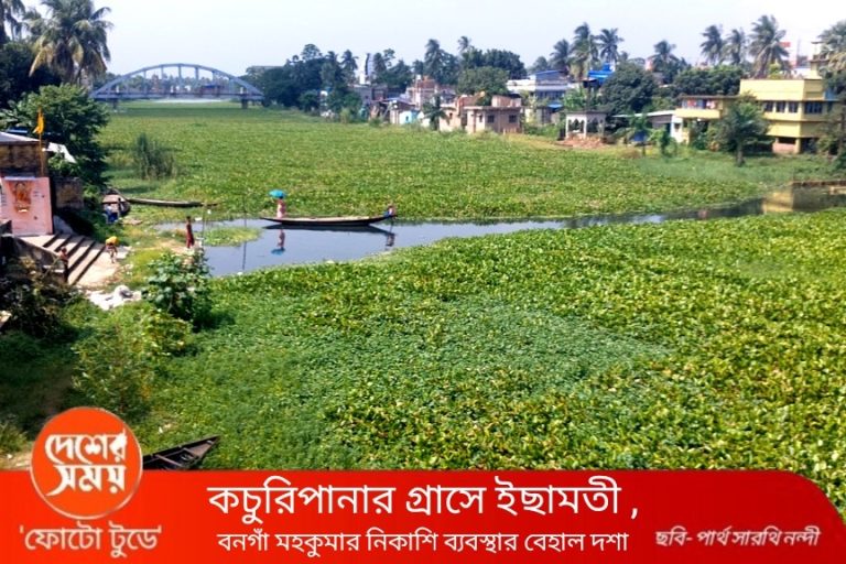 Photo Today : কচুরিপানার গ্রাসে ইছামতী ,বনগাঁ মহকুমার নিকাশি ব্যবস্থার বেহাল দশা