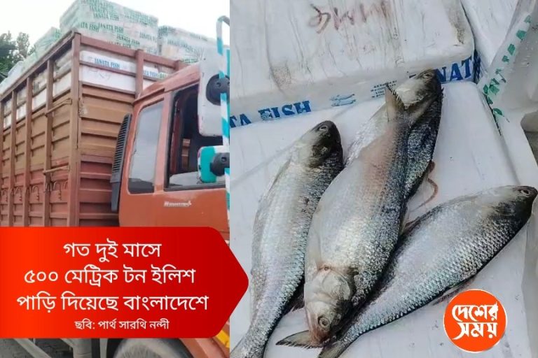 উলট পুরাণ: বাংলাদেশে প্রথমবার ইলিশ রপ্তানি করল ভারত ,ত্রাতা মোদীর রাজ্য: দেখুন ভিডিও